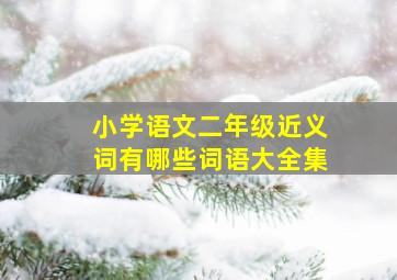 小学语文二年级近义词有哪些词语大全集