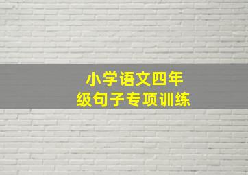 小学语文四年级句子专项训练