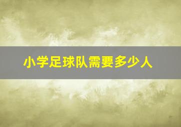 小学足球队需要多少人