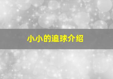 小小的追球介绍