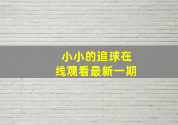 小小的追球在线观看最新一期