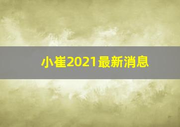 小崔2021最新消息