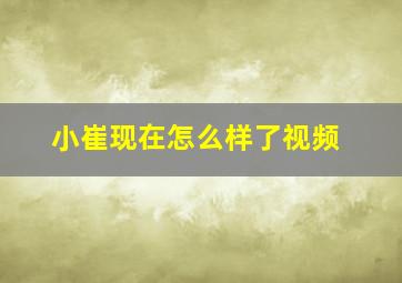 小崔现在怎么样了视频