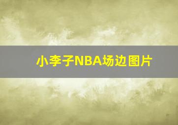 小李子NBA场边图片