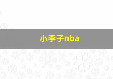 小李子nba