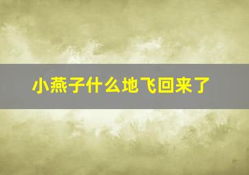 小燕子什么地飞回来了