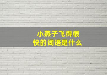 小燕子飞得很快的词语是什么