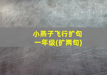 小燕子飞行扩句一年级(扩两句)