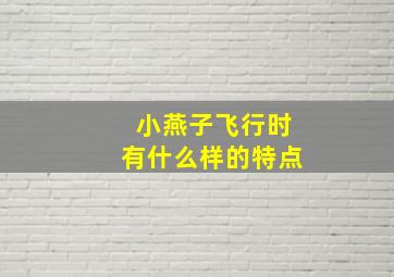 小燕子飞行时有什么样的特点