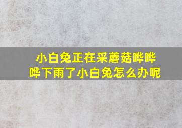 小白兔正在采蘑菇哗哗哗下雨了小白兔怎么办呢