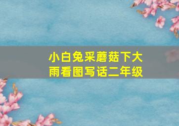 小白兔采蘑菇下大雨看图写话二年级