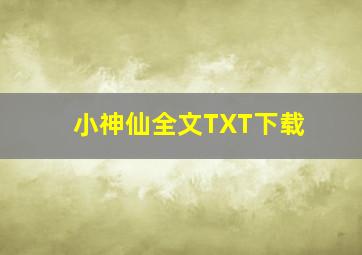 小神仙全文TXT下载