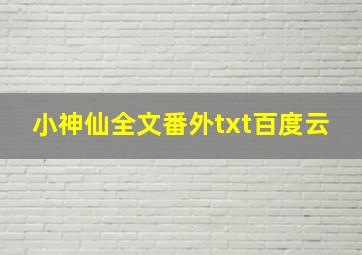 小神仙全文番外txt百度云