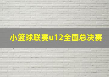 小篮球联赛u12全国总决赛