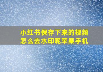 小红书保存下来的视频怎么去水印呢苹果手机