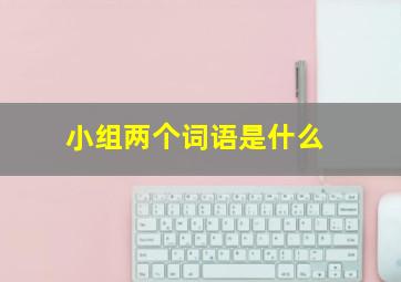 小组两个词语是什么