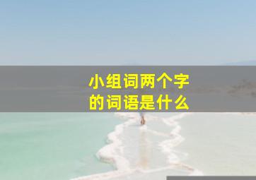 小组词两个字的词语是什么