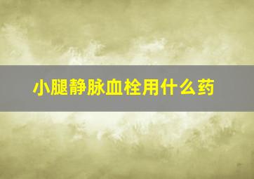 小腿静脉血栓用什么药