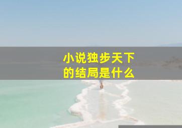 小说独步天下的结局是什么