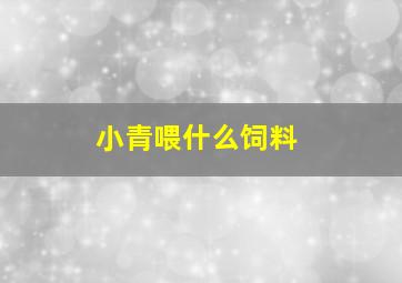 小青喂什么饲料