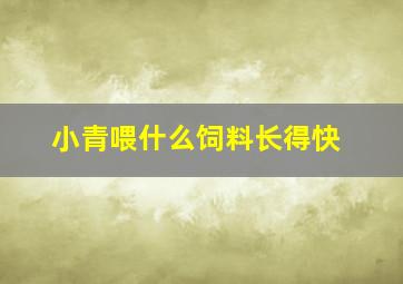 小青喂什么饲料长得快