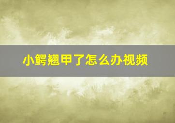 小鳄翘甲了怎么办视频