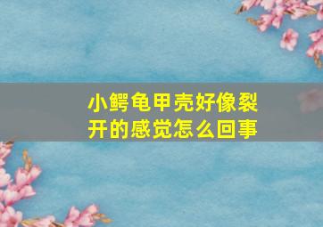 小鳄龟甲壳好像裂开的感觉怎么回事