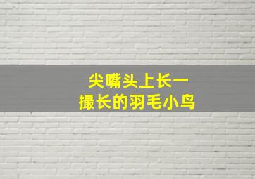 尖嘴头上长一撮长的羽毛小鸟