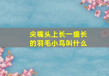 尖嘴头上长一撮长的羽毛小鸟叫什么