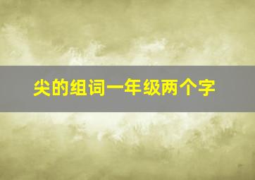 尖的组词一年级两个字