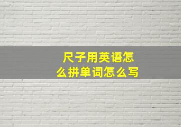 尺子用英语怎么拼单词怎么写