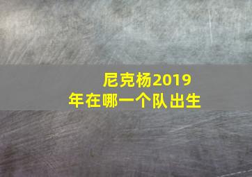 尼克杨2019年在哪一个队出生