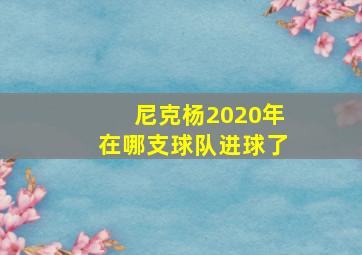 尼克杨2020年在哪支球队进球了