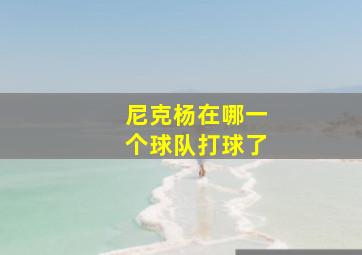 尼克杨在哪一个球队打球了