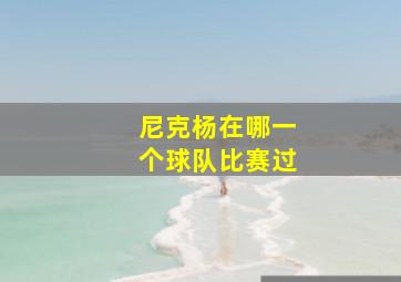 尼克杨在哪一个球队比赛过