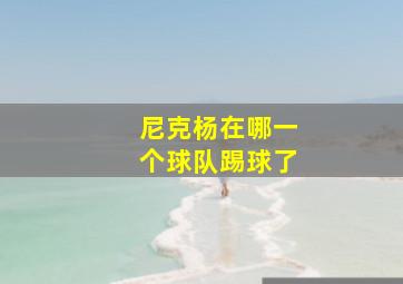 尼克杨在哪一个球队踢球了