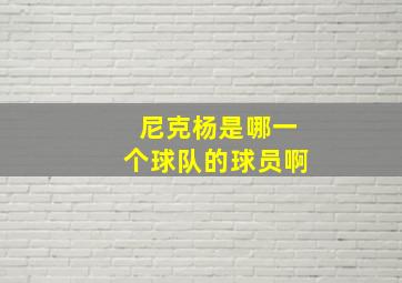 尼克杨是哪一个球队的球员啊