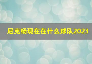 尼克杨现在在什么球队2023