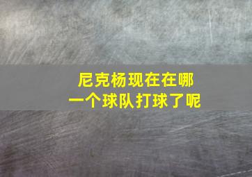 尼克杨现在在哪一个球队打球了呢