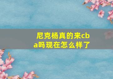 尼克杨真的来cba吗现在怎么样了