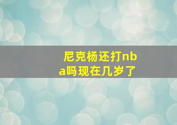 尼克杨还打nba吗现在几岁了