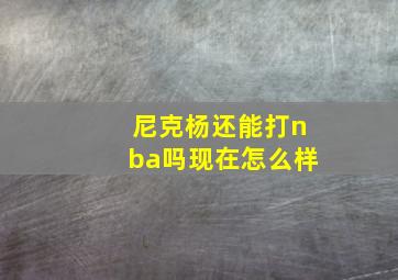 尼克杨还能打nba吗现在怎么样