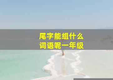 尾字能组什么词语呢一年级