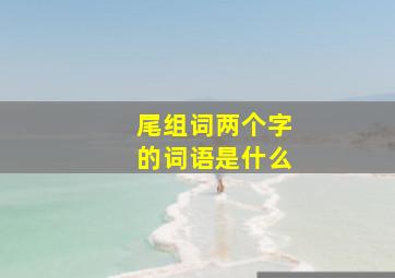 尾组词两个字的词语是什么