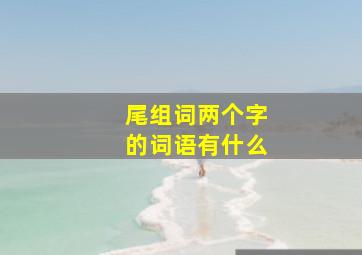 尾组词两个字的词语有什么