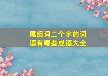 尾组词二个字的词语有哪些成语大全