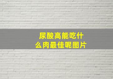 尿酸高能吃什么肉最佳呢图片