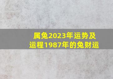 属兔2023年运势及运程1987年的兔财运