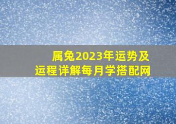 属兔2023年运势及运程详解每月学搭配网