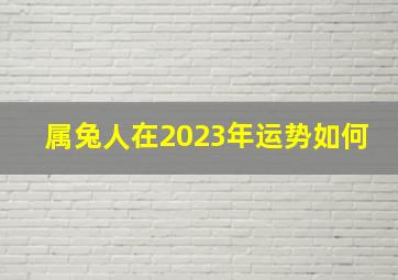 属兔人在2023年运势如何